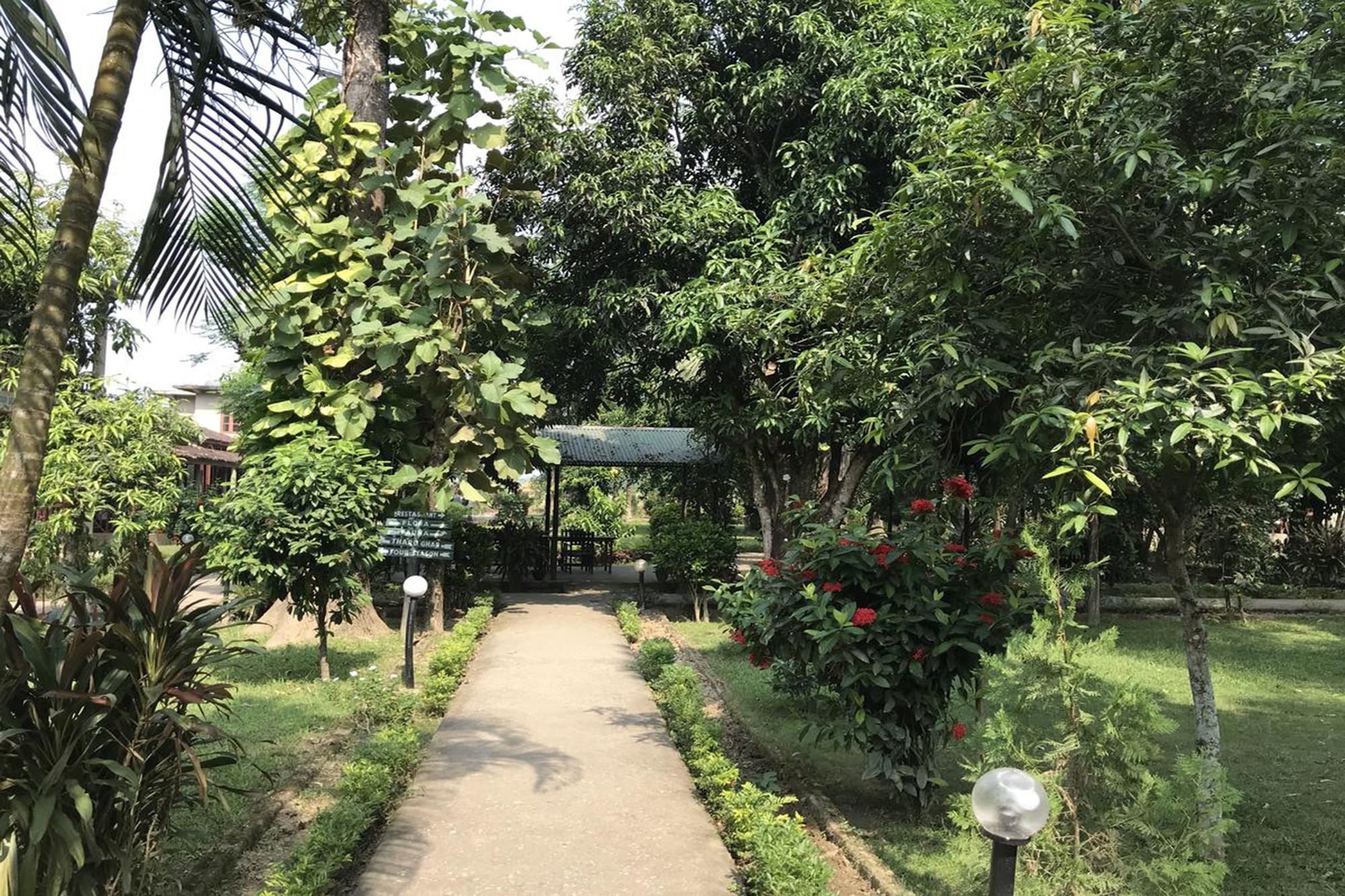 独特野生度假村 索拉哈 外观 照片